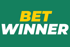 BetWinner Platform Your Ultimate Guide to Online Betting